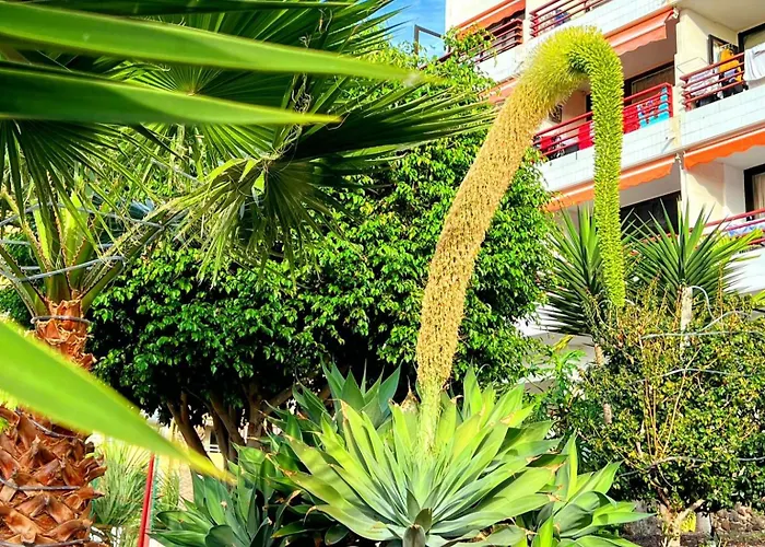 Paulmarie In Olympia Playa de las Américas